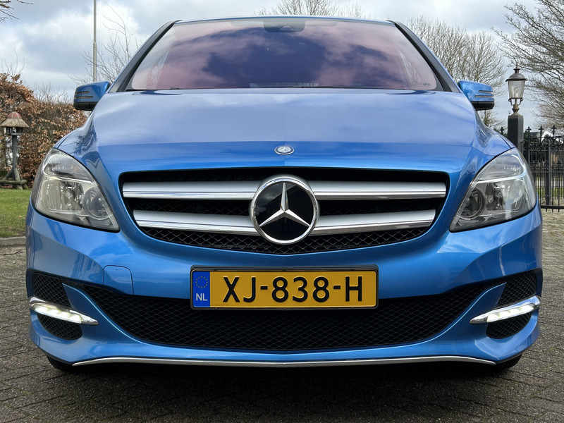 42338493-11.jpg
